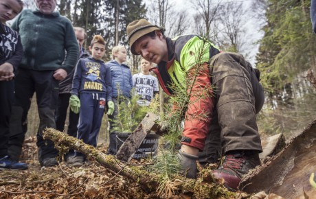 Baumpflanzaktion Steinheim 2017 Bäume werden gepflanzt.