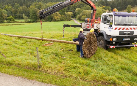 LKW stellt Storchennest auf. 
