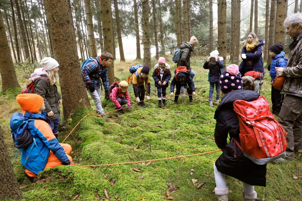 Kinder im Wald