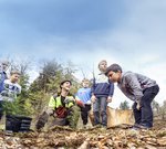 Kinder pflanzen Bäume