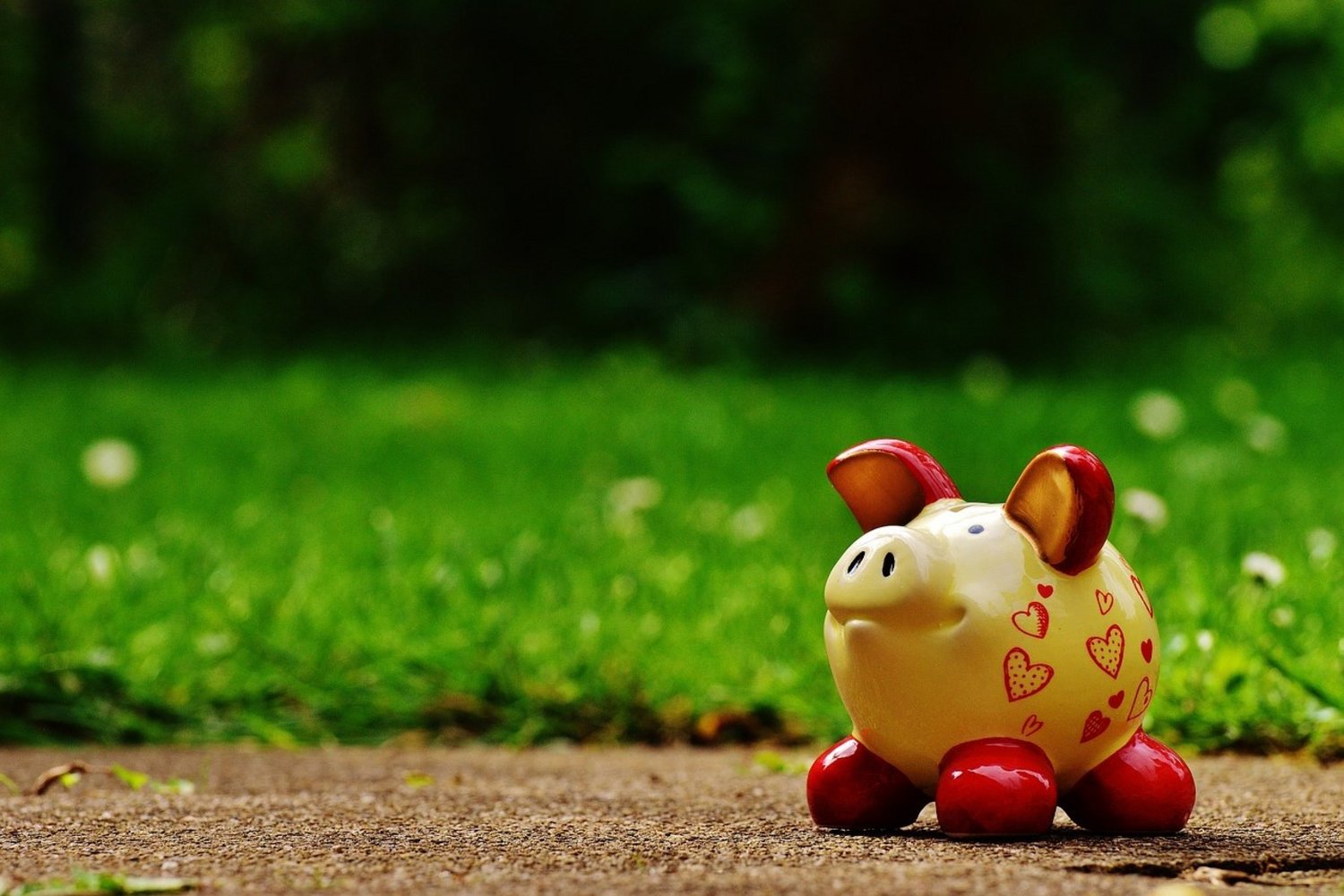 Sparschwein