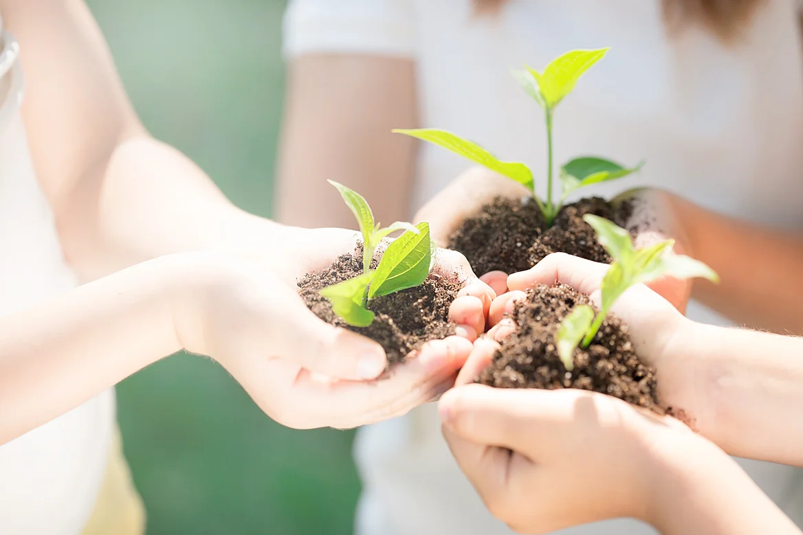Drei Kinder halten Erde mit Setzlingen in der Hand