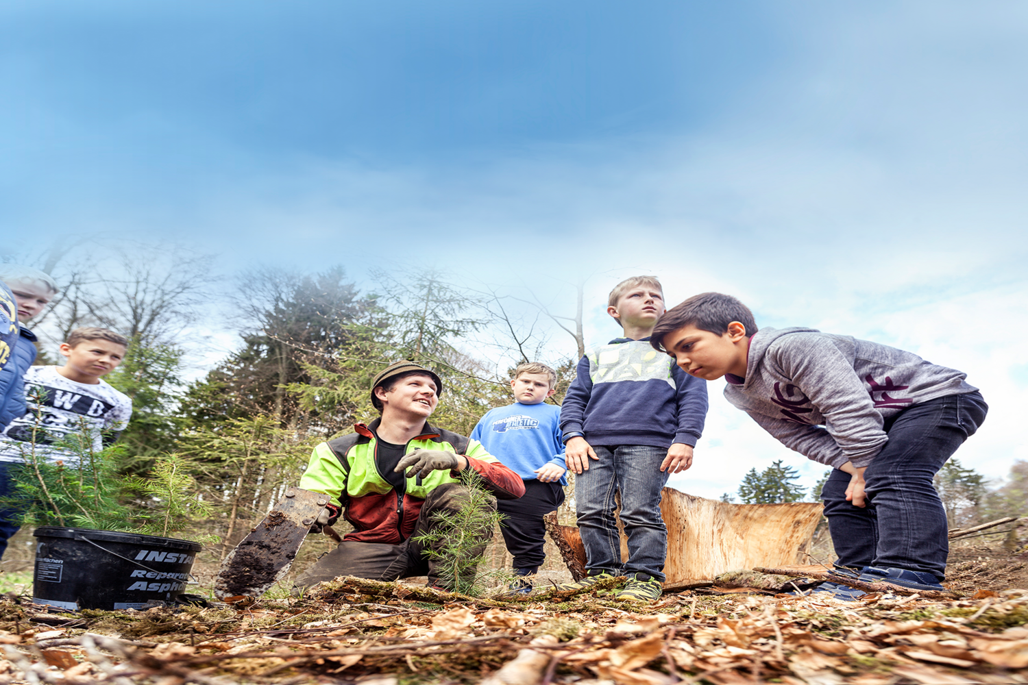 Kinder pflanzen mit einem Waldmitarbeiter einen Baum